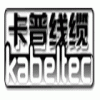 德國(guó)KABELTEC電纜