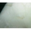通用型紫外光引發(fā)劑/光敏劑819