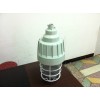BAD61防爆燈L100W70W150W壁式、吸頂式