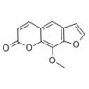 供應(yīng)花椒毒素  298-81-7