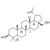 白樺脂醇性質(zhì)   白樺脂醇供應(yīng)