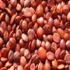 生產(chǎn)廠家現(xiàn)貨優(yōu)惠供應2%酸棗仁提取物 Jujuboside