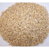 專業(yè)廠家生產(chǎn)供應麥芽提取物5:1 10:1 20:1比例
