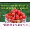 三氯蔗糖國內(nèi)執(zhí)行標(biāo)準(zhǔn)