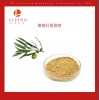 橄欖葉提取物橄欖苦甙20%現(xiàn)貨供應