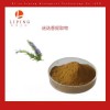 植物提取物迷迭香提取物迷迭香酸25%30%50%