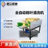糯米粽加工設(shè)備大粽葉雙層毛輥清洗機(jī)蘆葦葉芭蕉葉荷葉自動(dòng)洗葉機(jī)